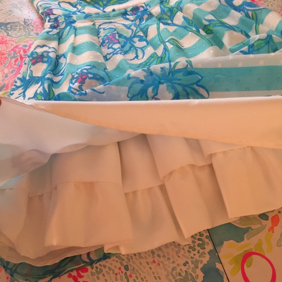 Lilly Pulitzer Posey Dress Size 2 - Picture 4 of 7